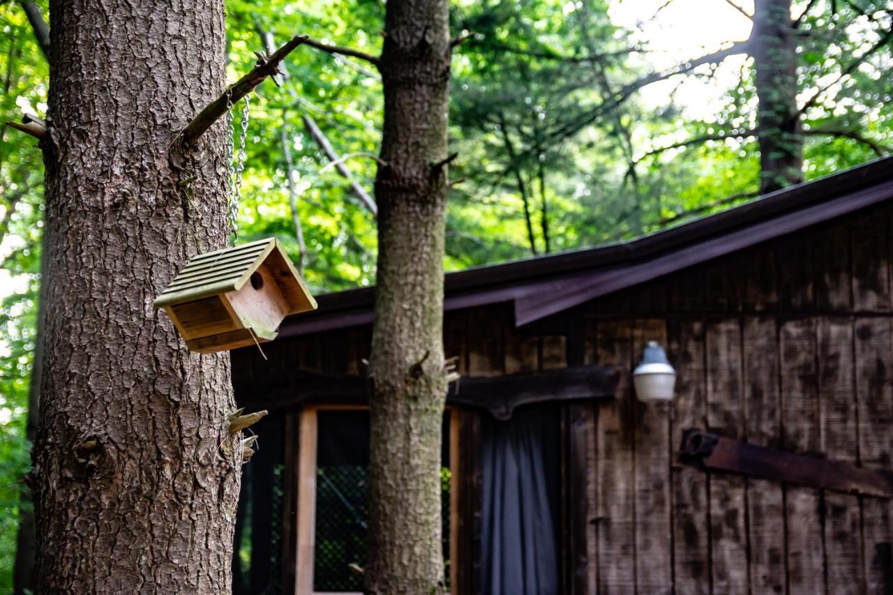 Avenwood Cabins Logan Bagian luar foto